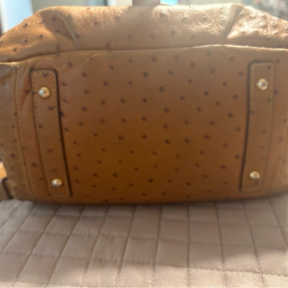 Dooney&Bourke lizard skin handbag.Gently used the inside of the bag is stained. - Picture 4 of 4